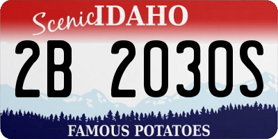 ID license plate 2B2030S