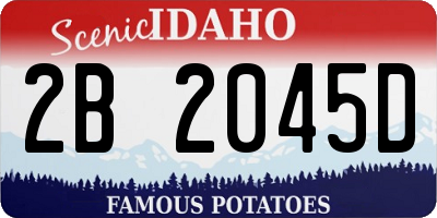 ID license plate 2B2045D