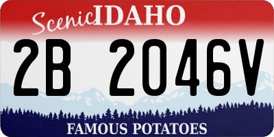 ID license plate 2B2046V