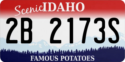 ID license plate 2B2173S
