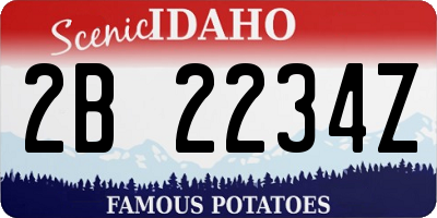 ID license plate 2B2234Z