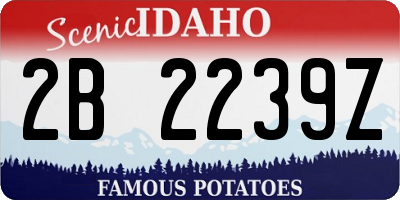 ID license plate 2B2239Z
