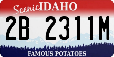 ID license plate 2B2311M