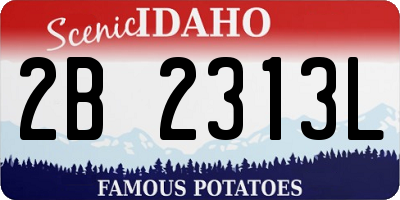 ID license plate 2B2313L