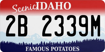ID license plate 2B2339M