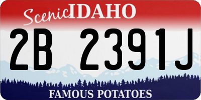 ID license plate 2B2391J