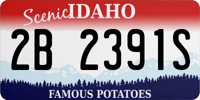 ID license plate 2B2391S