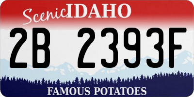 ID license plate 2B2393F