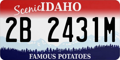 ID license plate 2B2431M