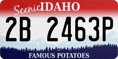 ID license plate 2B2463P