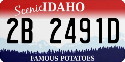 ID license plate 2B2491D