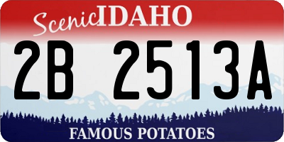 ID license plate 2B2513A