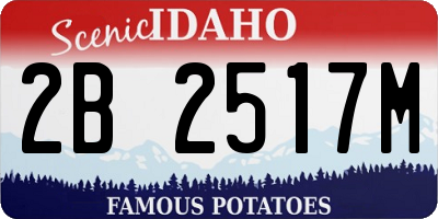 ID license plate 2B2517M