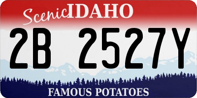 ID license plate 2B2527Y