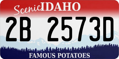 ID license plate 2B2573D