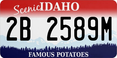 ID license plate 2B2589M