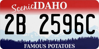 ID license plate 2B2596C