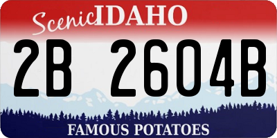 ID license plate 2B2604B