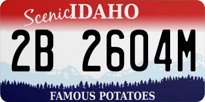 ID license plate 2B2604M