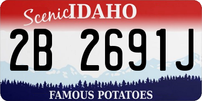 ID license plate 2B2691J