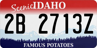 ID license plate 2B2713Z