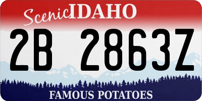 ID license plate 2B2863Z