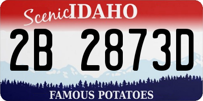 ID license plate 2B2873D