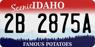 ID license plate 2B2875A