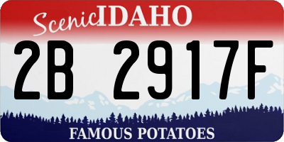 ID license plate 2B2917F