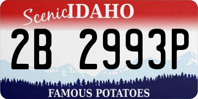ID license plate 2B2993P