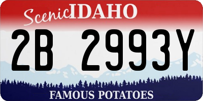 ID license plate 2B2993Y