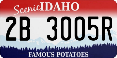 ID license plate 2B3005R