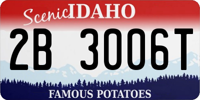 ID license plate 2B3006T