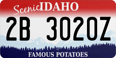 ID license plate 2B3020Z