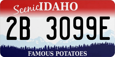 ID license plate 2B3099E