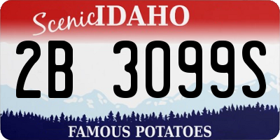 ID license plate 2B3099S