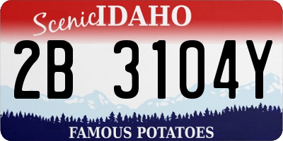ID license plate 2B3104Y
