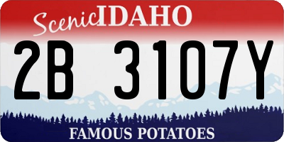 ID license plate 2B3107Y
