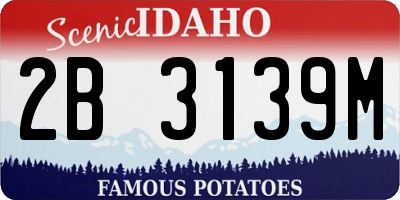 ID license plate 2B3139M