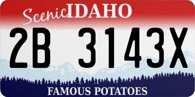 ID license plate 2B3143X