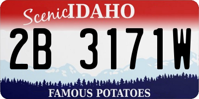 ID license plate 2B3171W