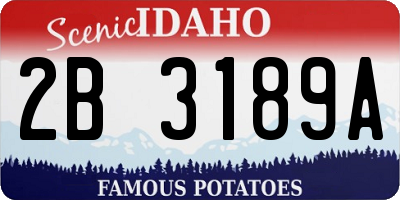 ID license plate 2B3189A