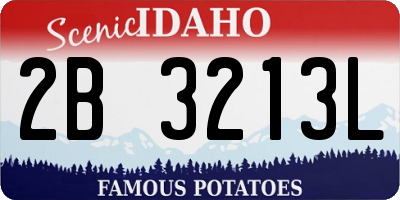 ID license plate 2B3213L