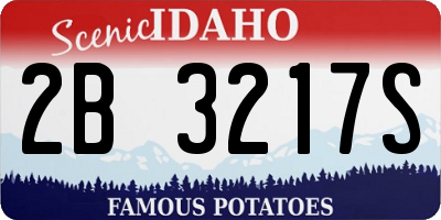ID license plate 2B3217S