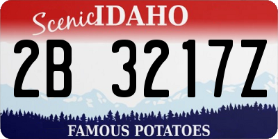 ID license plate 2B3217Z