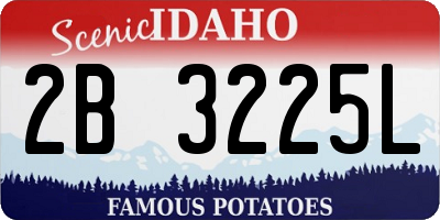 ID license plate 2B3225L