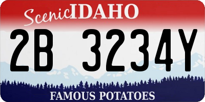 ID license plate 2B3234Y