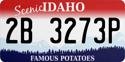ID license plate 2B3273P