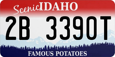 ID license plate 2B3390T