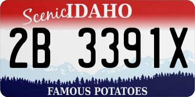 ID license plate 2B3391X